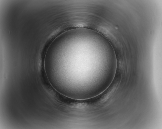 X0000088690304200705311201