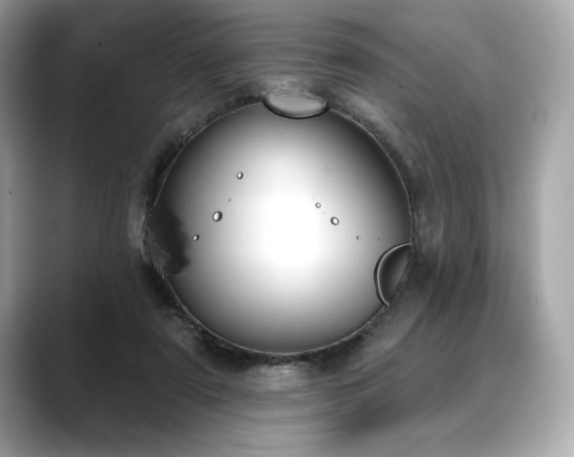 X0000088690307200705311201