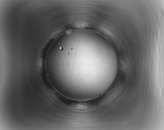 X0000088690308200705311201