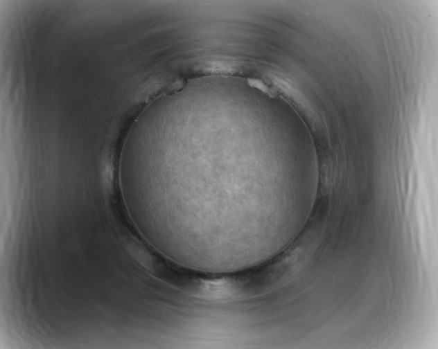 X0000088690309200705311201