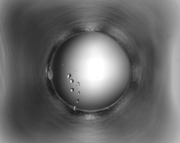 X0000088690310200705311201