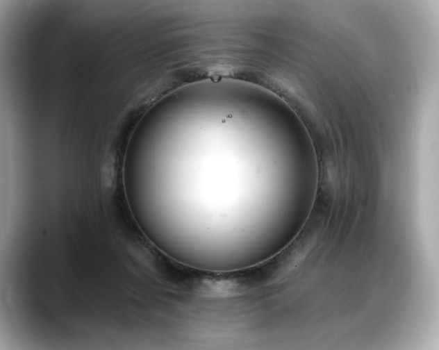 X0000088690311200705311201