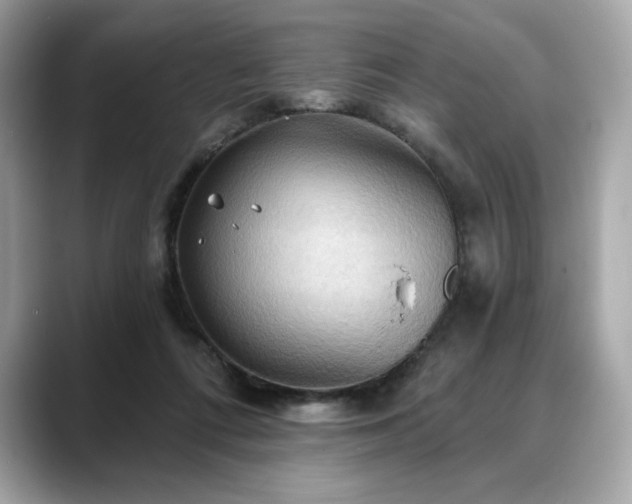 X0000088690312200705311201