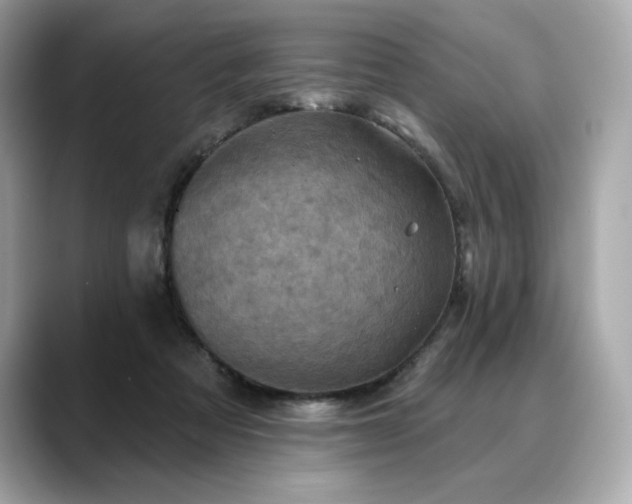 X0000088690313200705311201