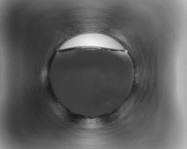 X0000088690314200705311201