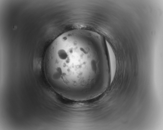 X0000088690315200705311201