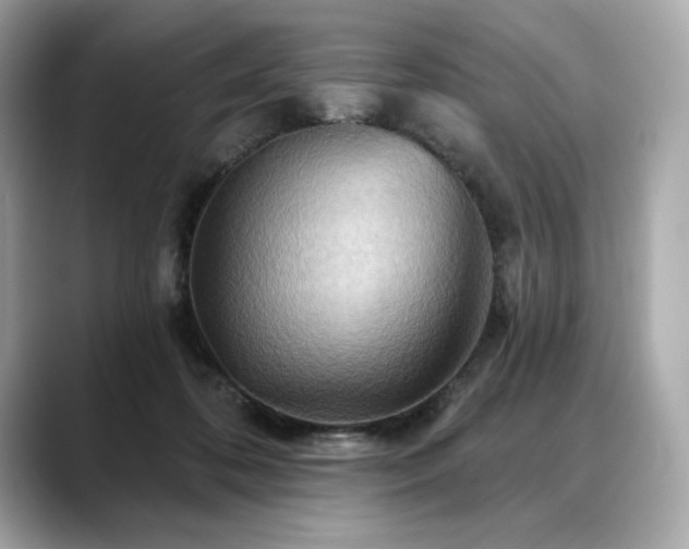 X0000088690316200705311201