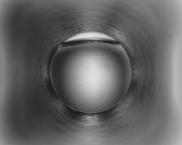X0000088690317200705311201