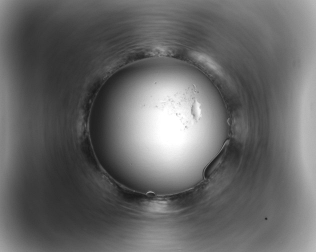 X0000088690318200705311201
