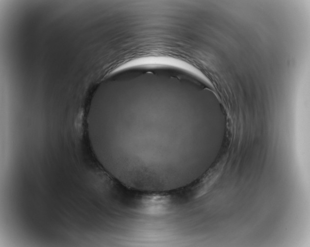 X0000088690319200705311201