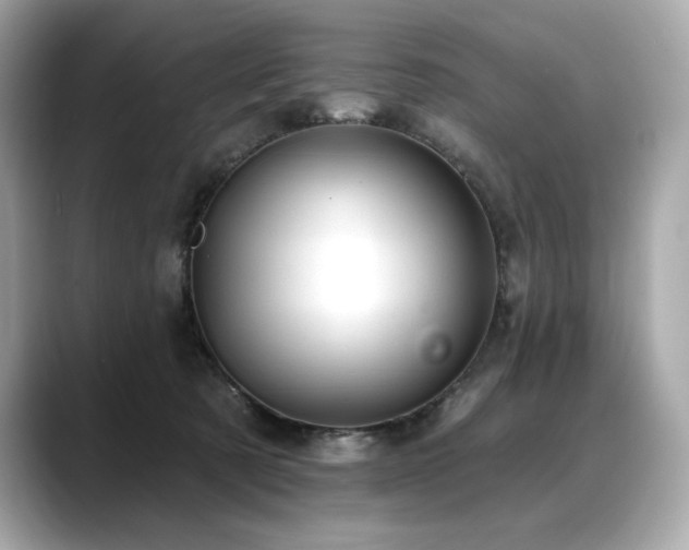 X0000088690321200705311201