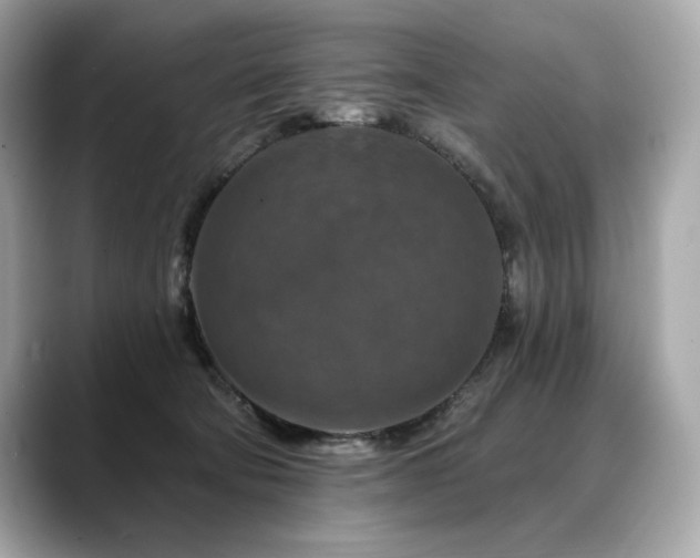 X0000088690322200705311201