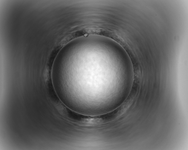 X0000088690323200705311201
