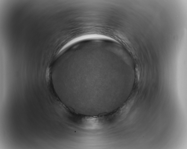 X0000088690325200705311201