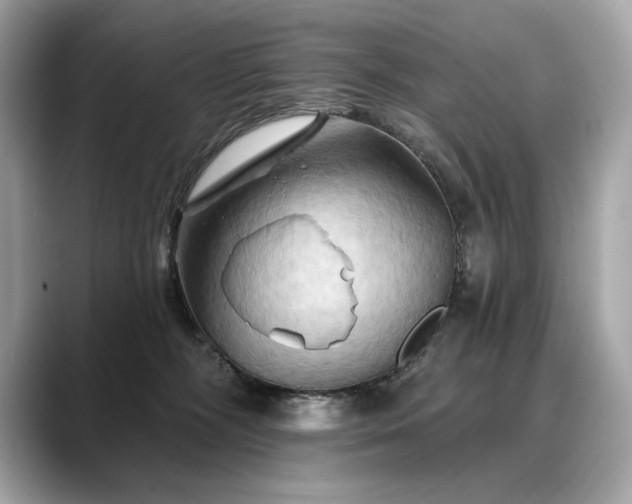 X0000088690326200705311201