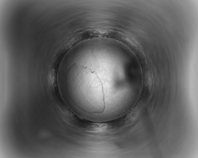 X0000088690328200705311201