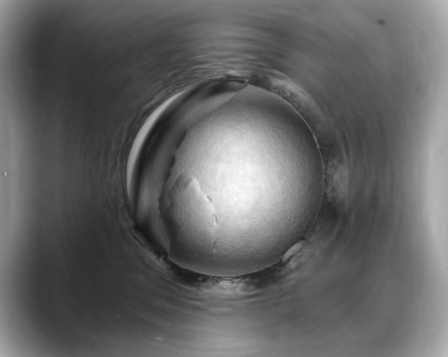 X0000088690329200705311201