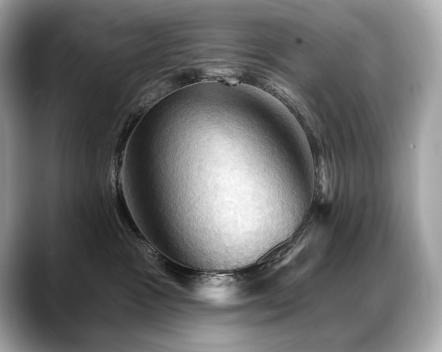 X0000088690333200705311201