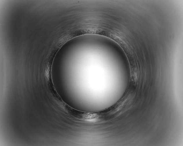 X0000088690334200705311201