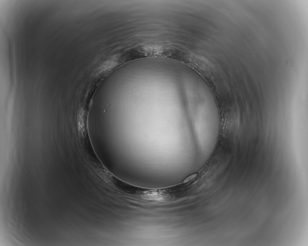 X0000088690335200705311201