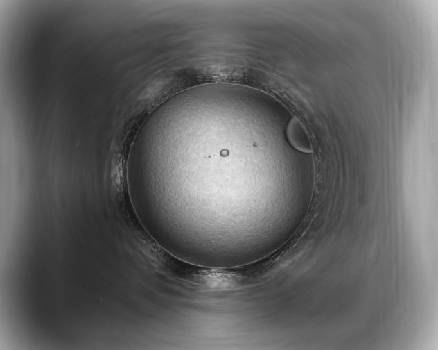 X0000088690336200705311201