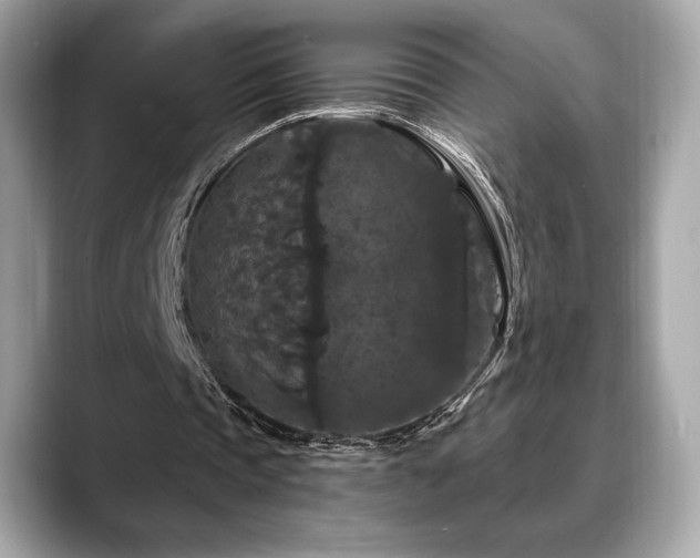 X0000088690337200705311200
