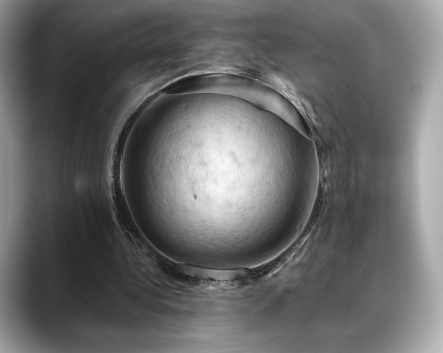 X0000088690340200705311200