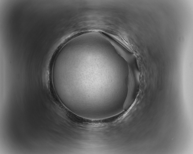 X0000088690342200705311200