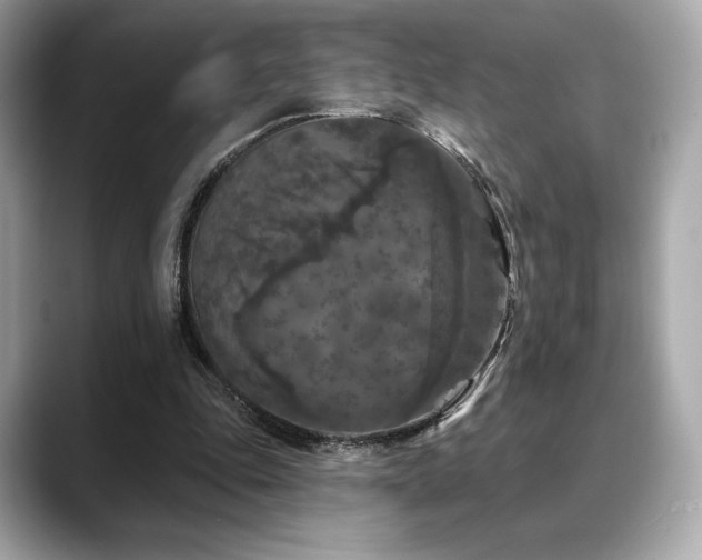 X0000088690343200705311200