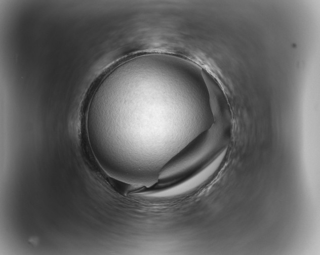 X0000088690344200705311200