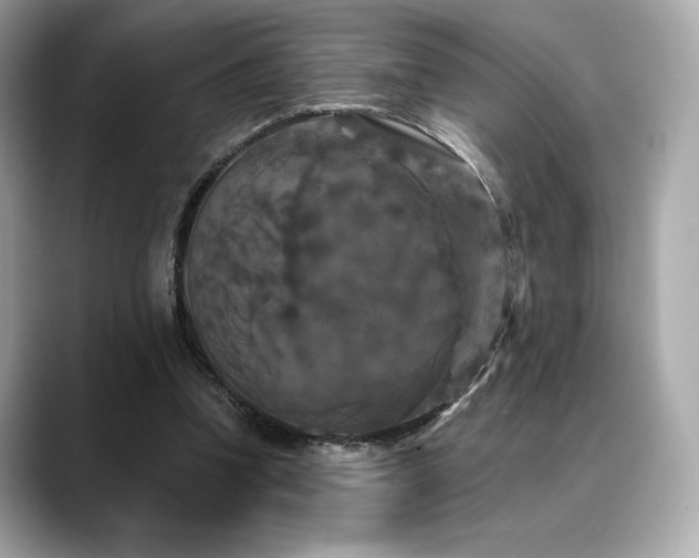 X0000088690346200705311200