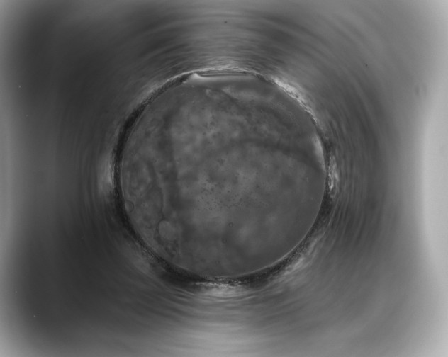 X0000088690347200705311200