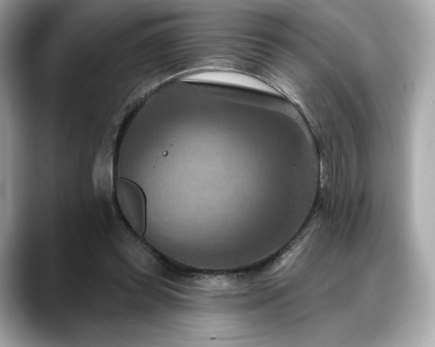 X0000088690349200705311200