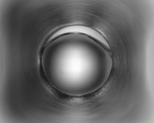 X0000088690350200705311200