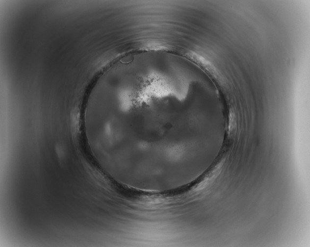 X0000088690351200705311200