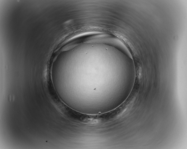 X0000088690352200705311201