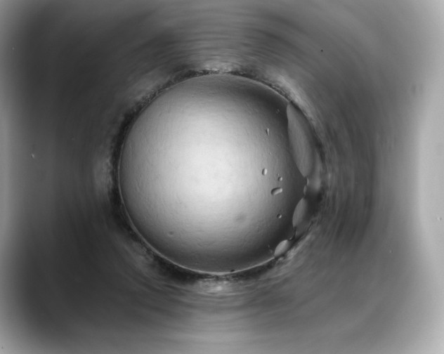 X0000088690354200705311201