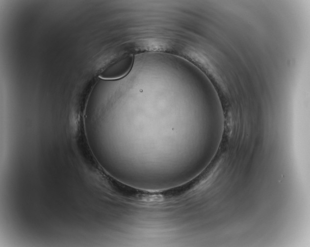 X0000088690355200705311201