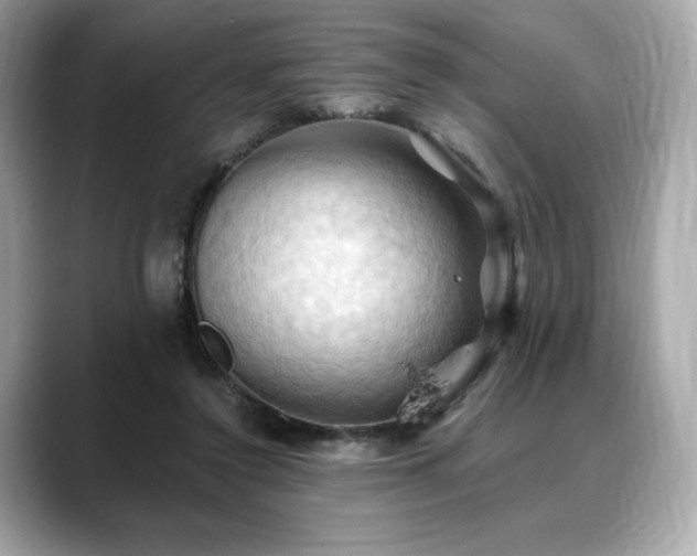 X0000088690356200705311201