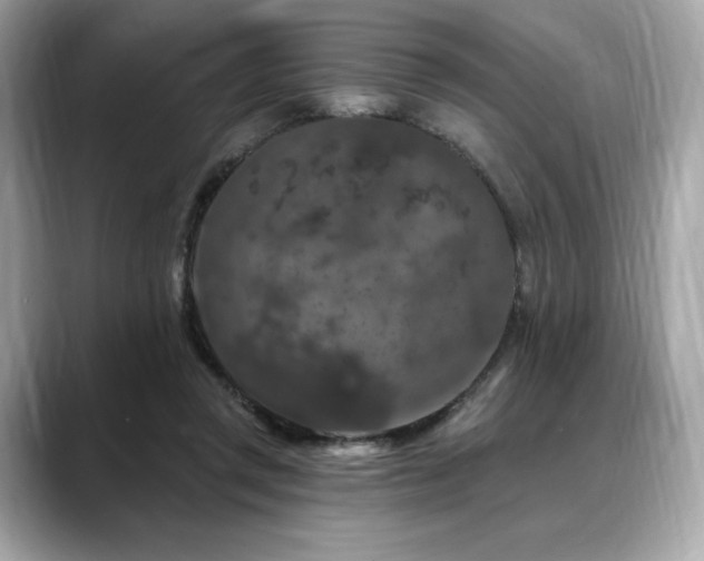 X0000088690357200705311201