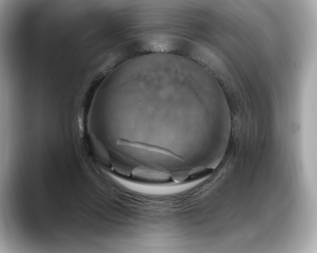 X0000088690358200705311201