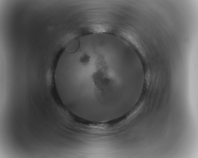 X0000088690359200705311201