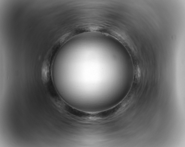 X0000088690360200705311201