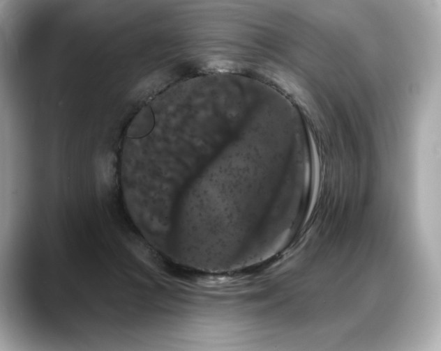 X0000088690361200705311201
