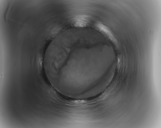 X0000088690363200705311201