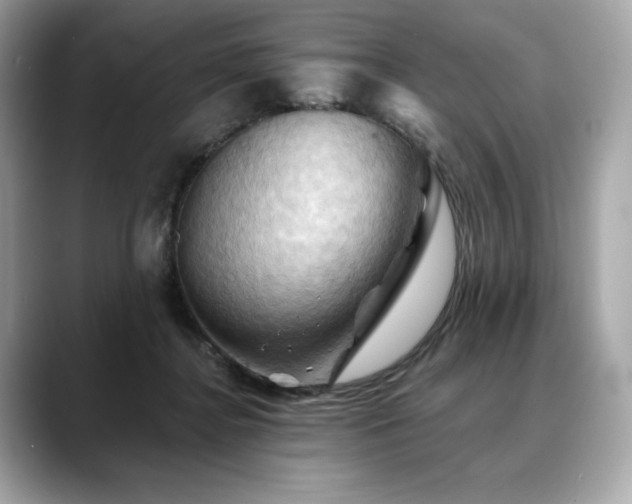 X0000088690364200705311201