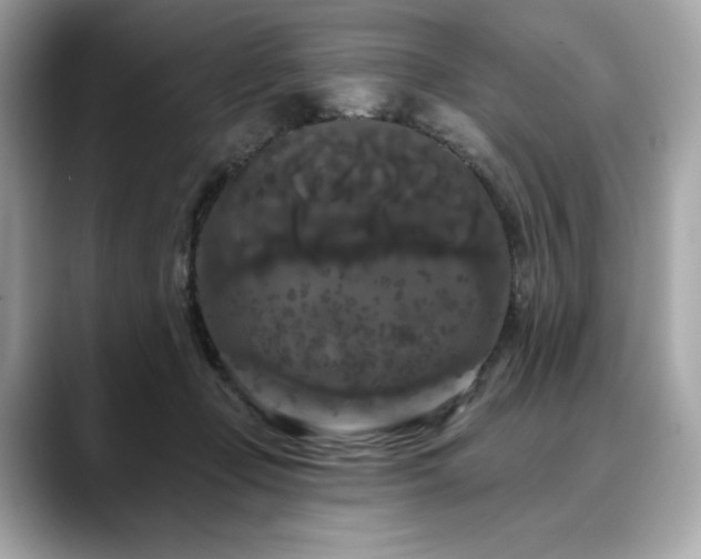 X0000088690365200705311201
