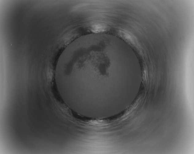 X0000088690367200705311201