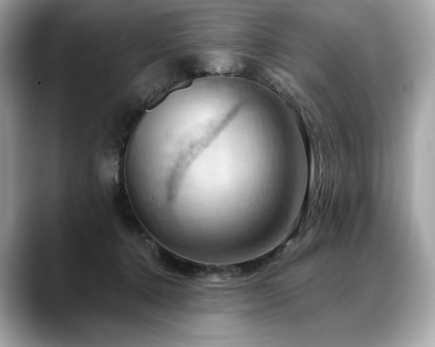 X0000088690368200705311201