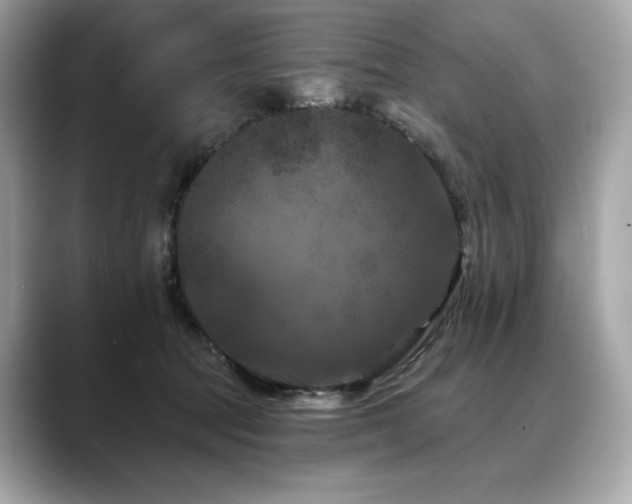 X0000088690369200705311201